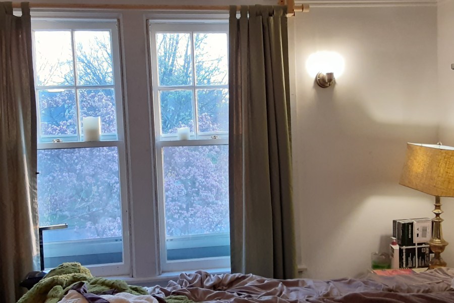 Indian Village Detroit